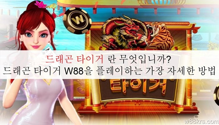 드래곤 타이거 7