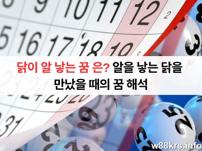 닭이 알 낳는 꿈 은