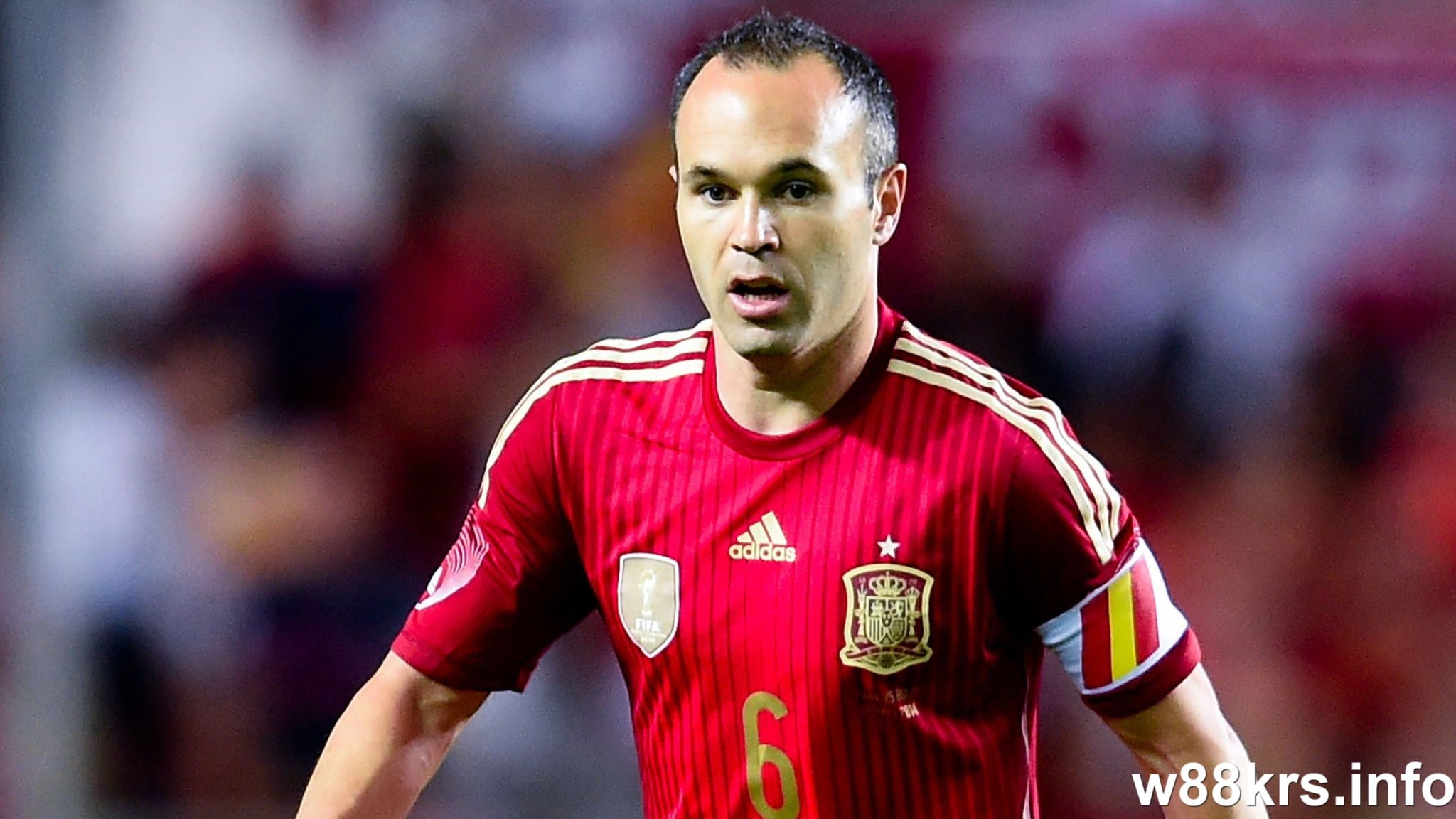 Andrés Iniesta - Spain