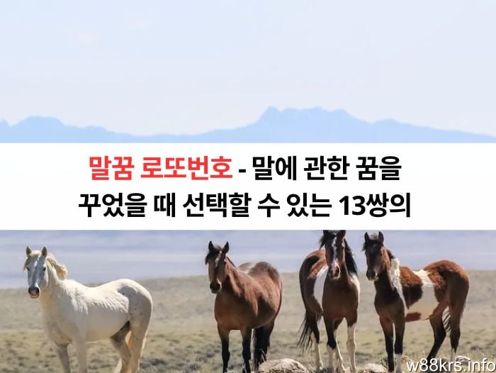 말꿈 로또번호 - 말에 관한 꿈을 꾸었을 때 선택할 수 있는 13쌍의 