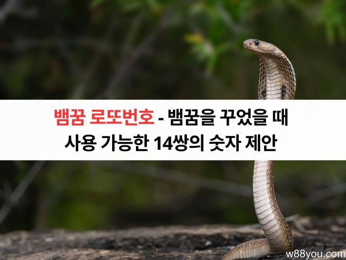뱀꿈 로또번호 - 뱀꿈을 꾸었을 때 사용 가능한 14쌍의 숫자 제안