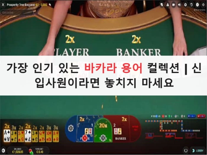 가장 인기 있는 바카라 용어 컬렉션 | 신입사원이라면 놓치지 마세요