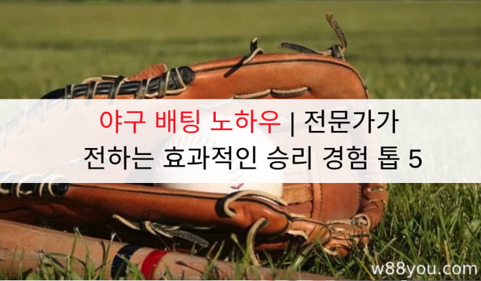 야구 배팅 노하우 | 전문가가 전하는 효과적인 승리 경험 톱 5