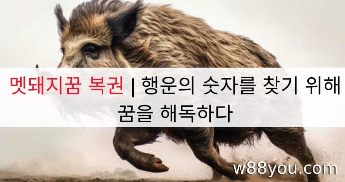 멧돼지꿈 복권 | 행운의 숫자를 찾기 위해 꿈을 해독하다