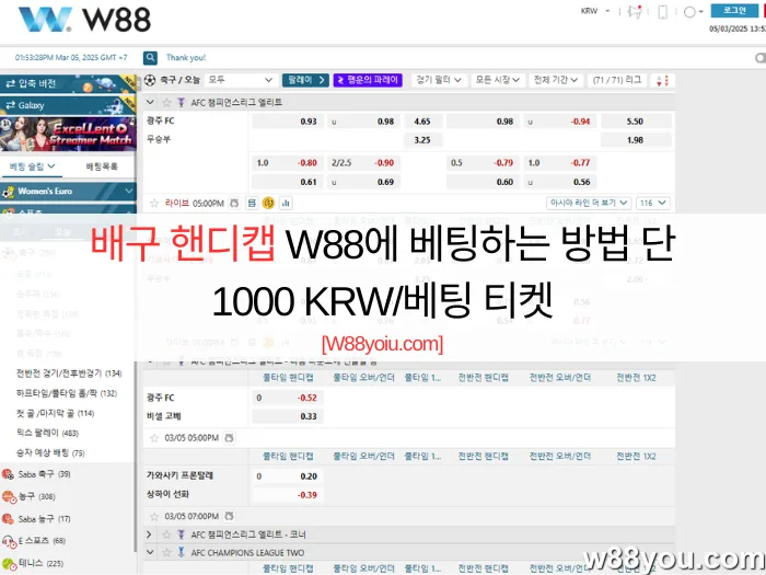 배구 핸디캡 W88에 베팅하는 방법 단 1000 KRW/베팅 티켓