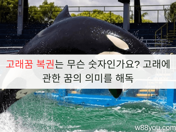 고래꿈 복권는 무슨 숫자인가요? 고래에 관한 꿈의 의미를 해독