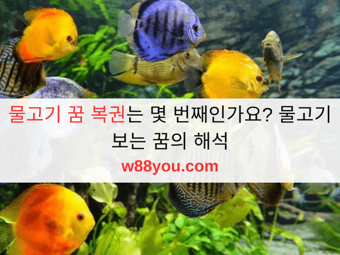 물고기 꿈 복권는 몇 번째인가요? 물고기 보는 꿈의 해석
