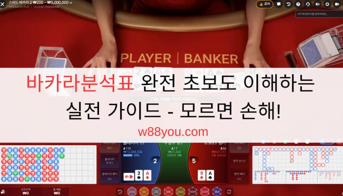 바카라분석표 완전 초보도 이해하는 실전 가이드 - 모르면 손해!