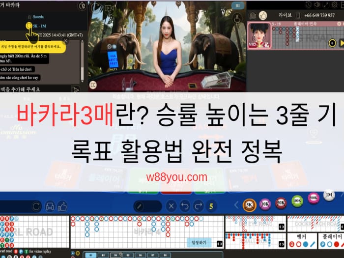 바카라3매란? 승률 높이는 3줄 기록표 활용법 완전 정복