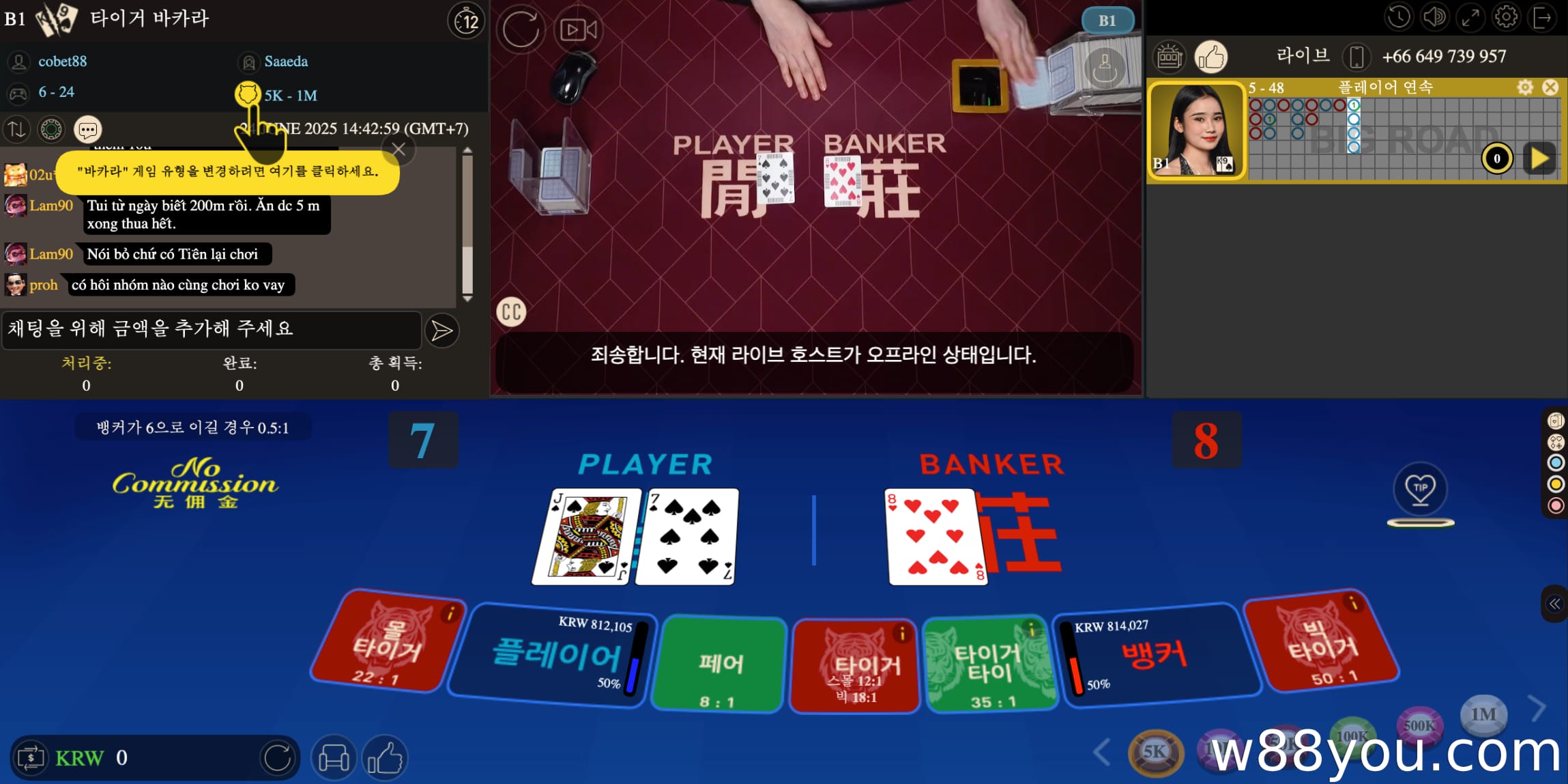 3라인 레코드와 기타 바카라 차트 - 어떤 것을 선택해야 할까요?