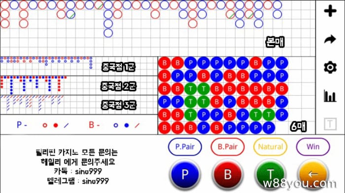 바카라에서 3라인 레코드란 무엇인가요?