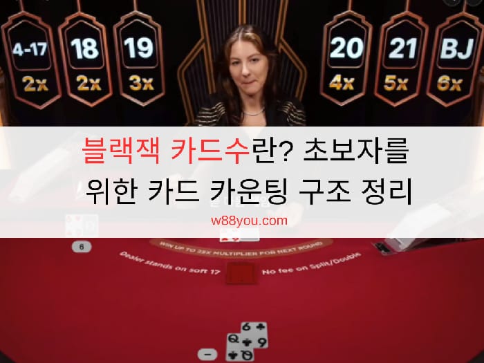 블랙잭 카드수란? 초보자를 위한 카드 카운팅 구조 정리