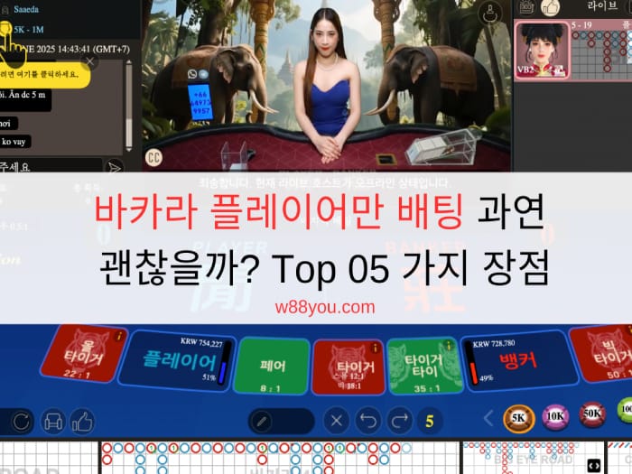 바카라 플레이어만 배팅 과연 괜찮을까? Top 05 가지 장점