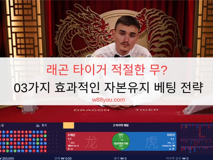 래곤 타이거 적절한 무? 03가지 효과적인 자본유지 베팅 전략