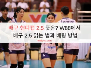 배구 핸디캡 2.5 뜻은? W88에서 배구 2.5 읽는 법과 베팅 방법