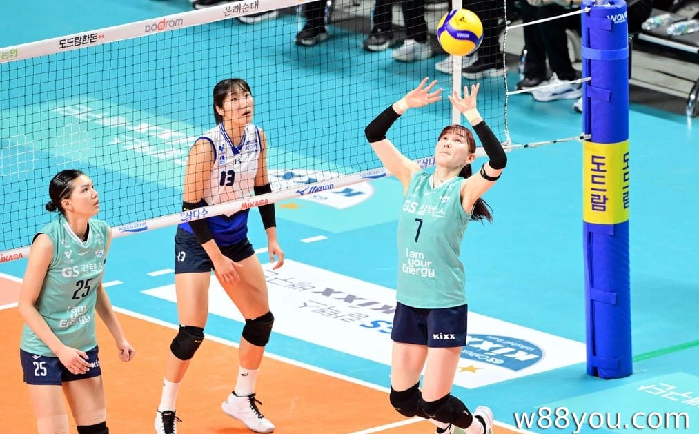 배구 핸디캡 2.5는 무엇입니까?