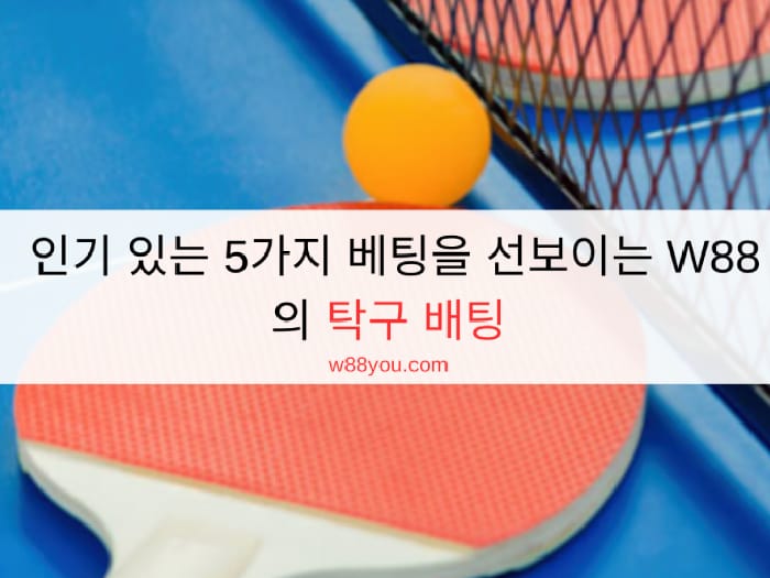2026년 인기 있는 5가지 베팅을 선보이는 W88의 탁구 배팅