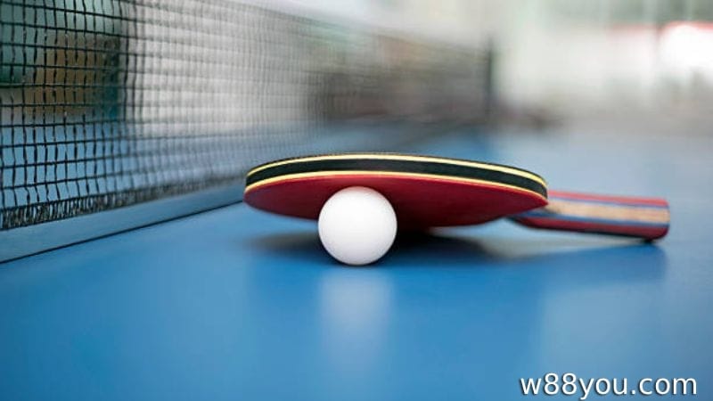 탁구 베팅이란 무엇인가?