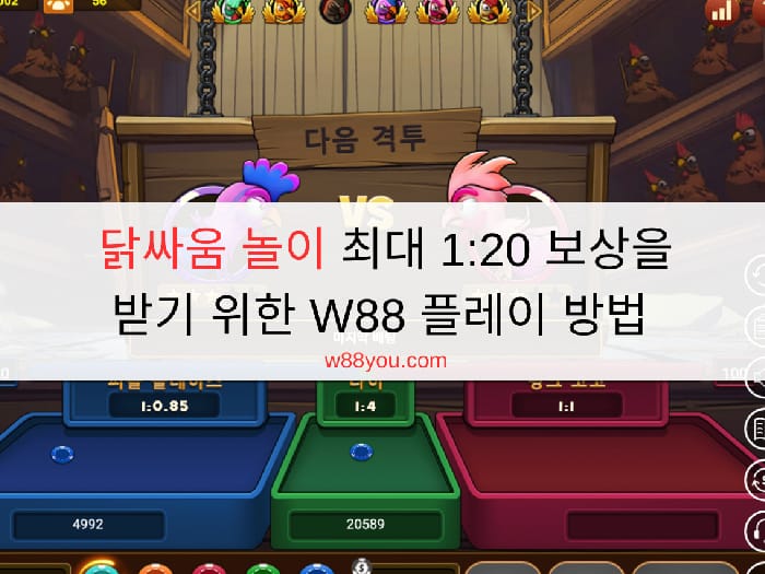 닭싸움 놀이 최대 1:20 보상을 받기 위한 W88 플레이 방법