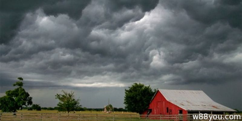 다가오는 폭풍을 꿈꾸다 | 17~71세