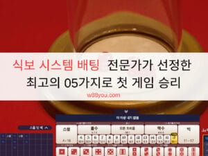 식보 시스템 배팅  전문가가 선정한 최고의 05가지로 첫 게임 승리