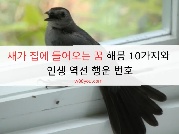 새가 집에 들어오는 꿈 해몽 10가지와 인생 역전 행운 번호
