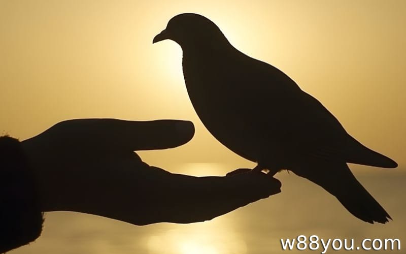 새가 손이나 몸에 앉는 꿈