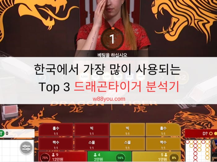 한국에서 가장 많이 사용되는 Top 3 드래곤타이거 분석기