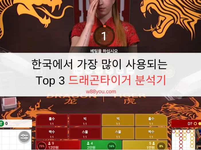 한국에서 가장 많이 사용되는 Top 3 드래곤타이거 분석기