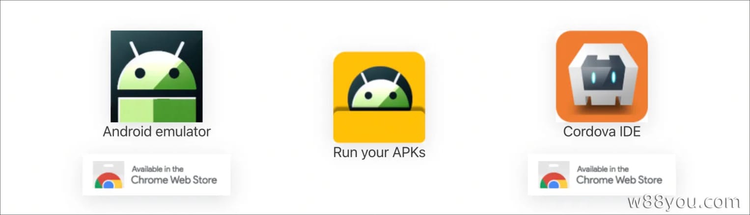 용/호랑이 분석기