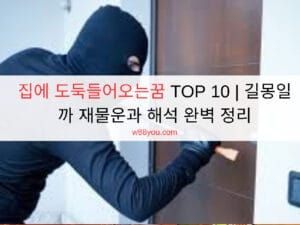 집에 도둑들어오는꿈 TOP 10 | 길몽일까 재물운과 해석 완벽 정리 집에 도둑들어오는꿈 TOP 10 | 길몽일까 재물운과 해석 완벽 정리
