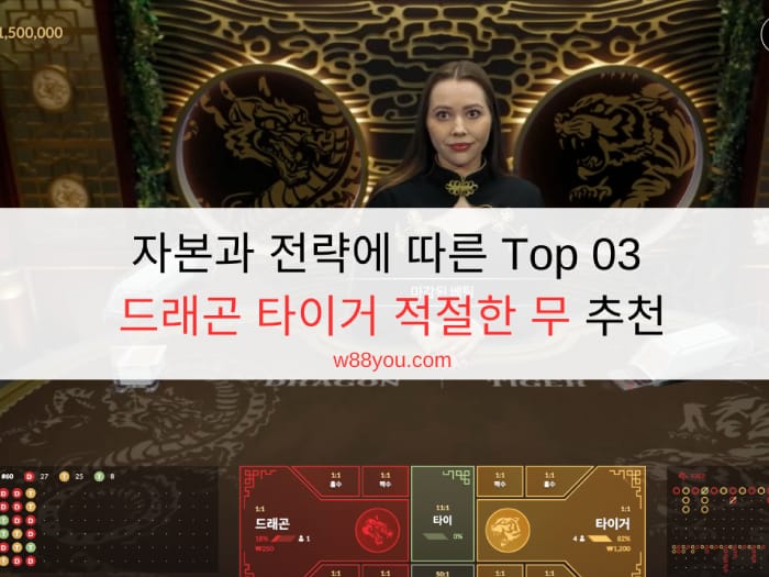 자본과 전략에 따른 Top 03 드래곤 타이거 적절한 무 추천