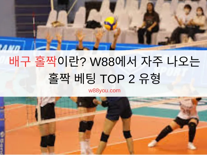 배구 홀짝이란? W88에서 자주 나오는 홀짝 베팅 TOP 2 유형