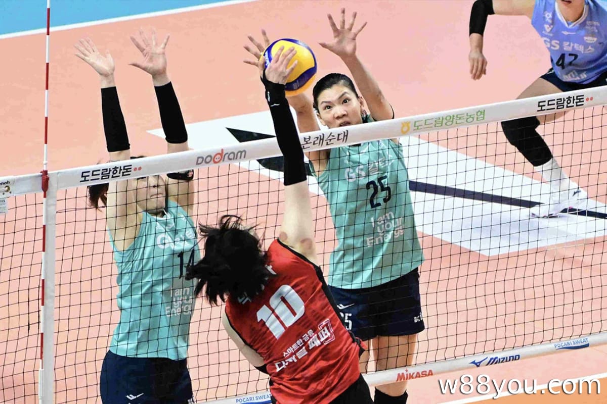 배구에서 홀/짝 배팅 옵션은 무엇인가요?