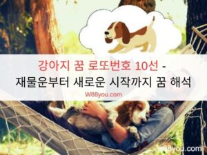 강아지 꿈 로또번호 10선 - 재물운부터 새로운 시작까지 꿈 해석 강아지 꿈 로또번호 10선 - 재물운부터 새로운 시작까지 꿈 해석