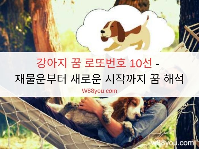 강아지 꿈 로또번호 10선 - 재물운부터 새로운 시작까지 꿈 해석